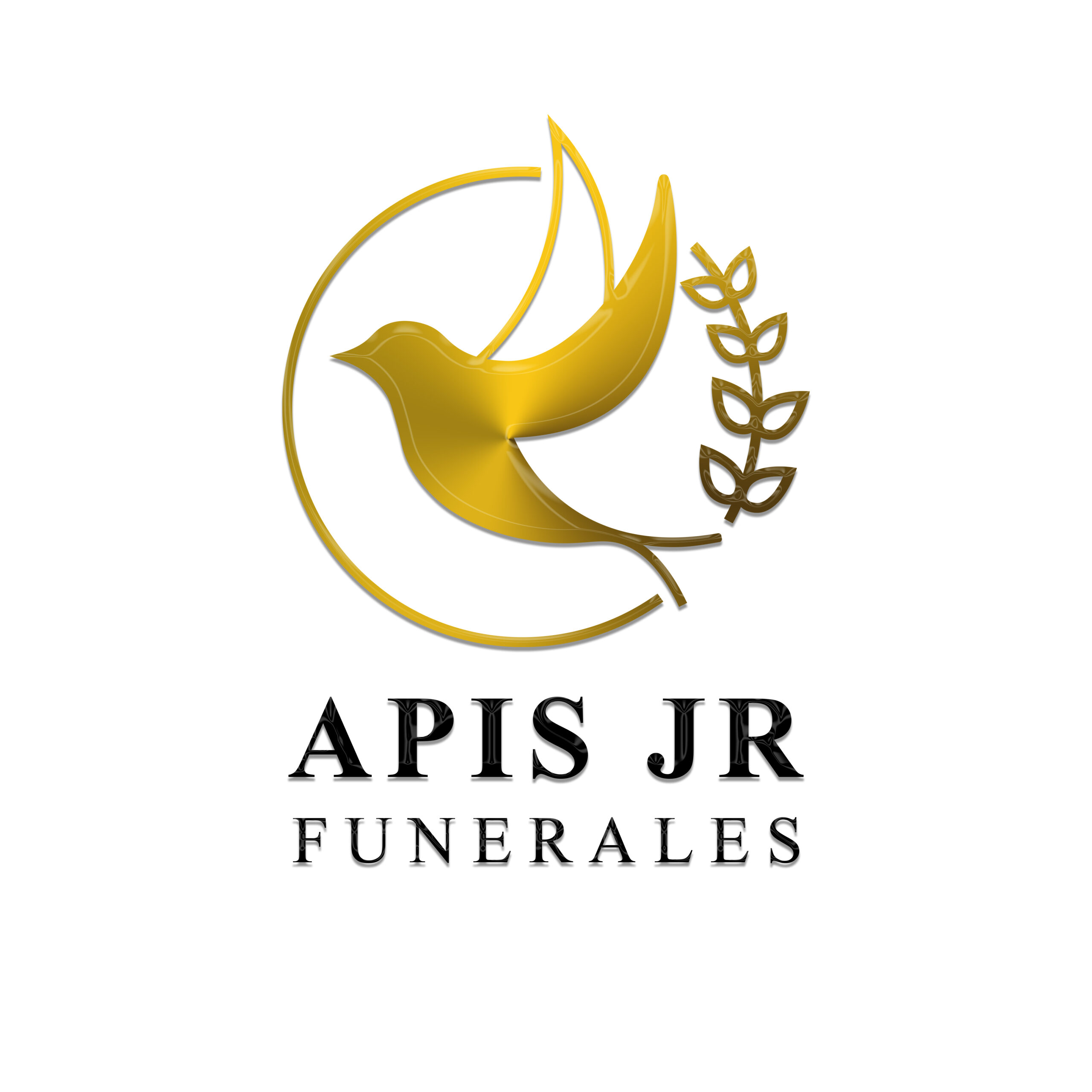 funeralesapisjr.com